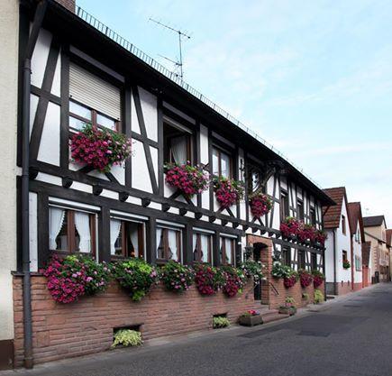 Hotel Dernbachtal Exterior photo